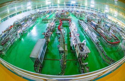 技术研发引领高质量发展 劲牌公司的创新实践